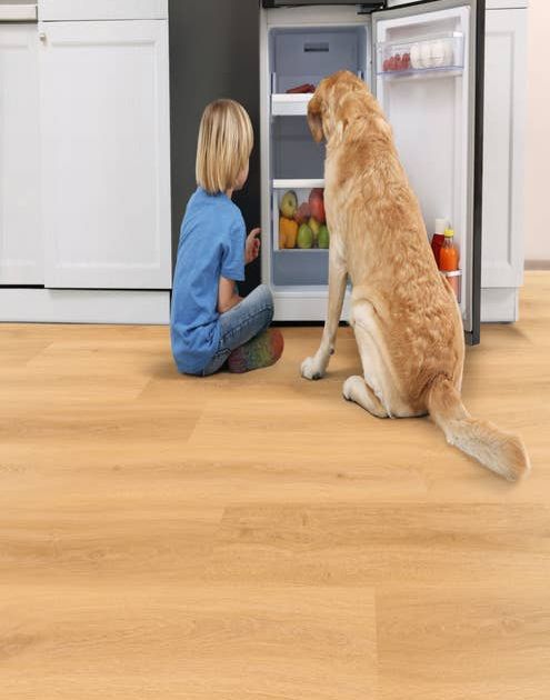 Young boy and dog sitting in front of opened mini refrigerator