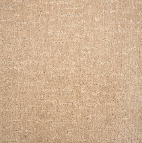 Alistair Almond color carpet sample