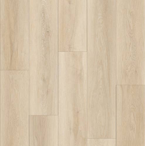 Alpine French Oak sample, with a mix of varying cream and light beige tones