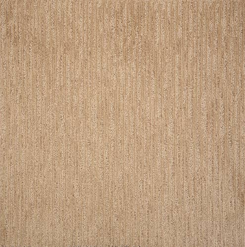 Medium beige plush carpet with linear texture