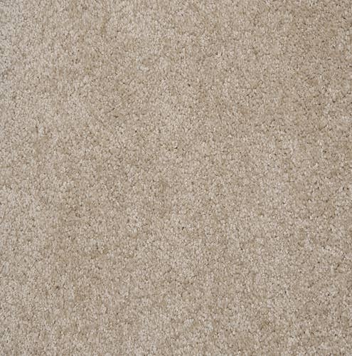 Textured cream plush carpet