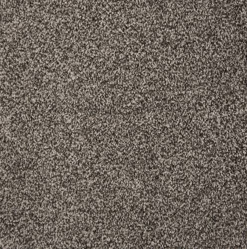 Dark gray solid textured plush carpet