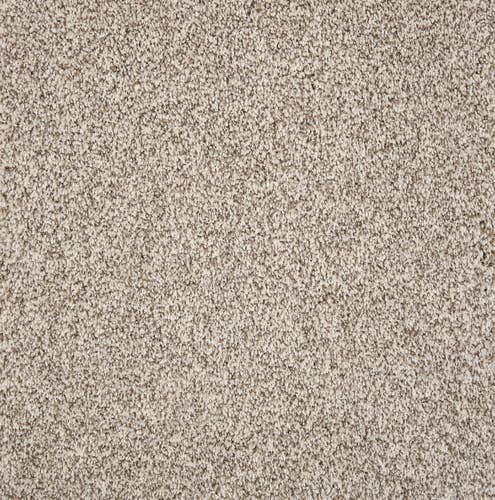 Taupe solid textured plush carpet