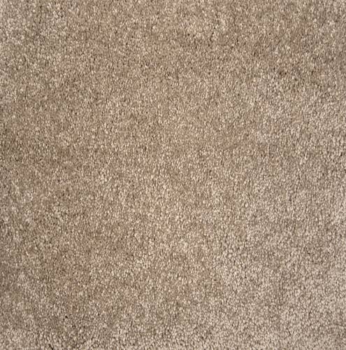 Beige solid textured plush carpet