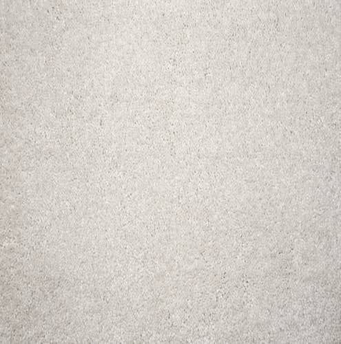 White solid textured plush carpet