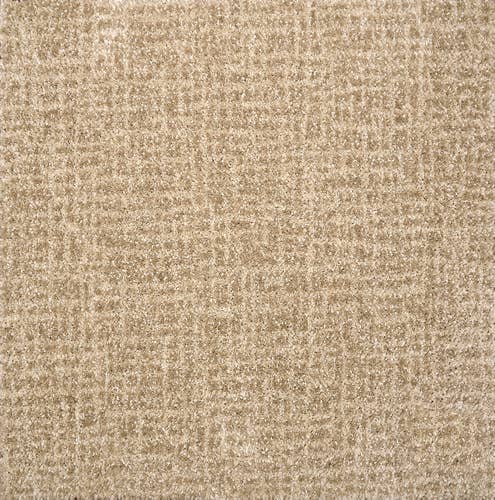 Taupe abstract distressed carpet