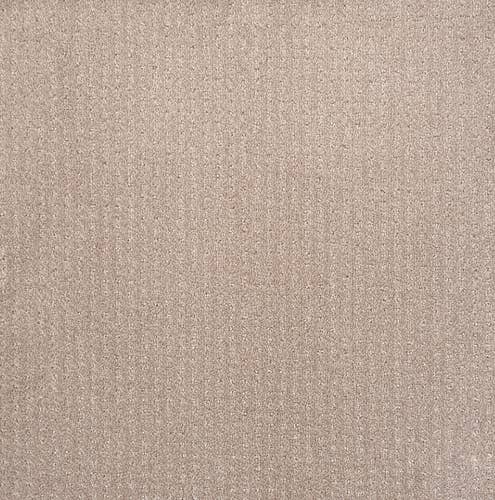 Beige textured solid carpet