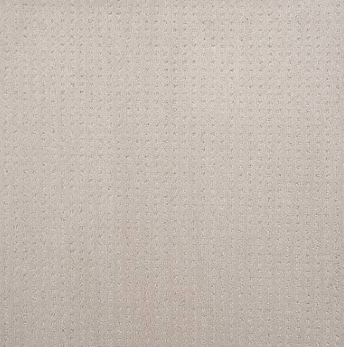 Beige textured solid carpet