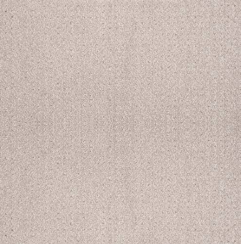 Taupe textured solid carpet