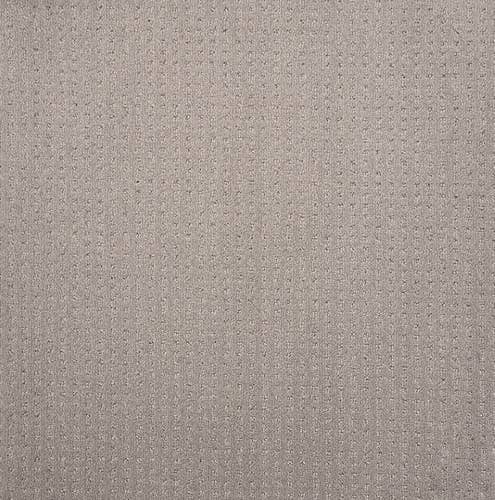 Medium gray textured solid carpet