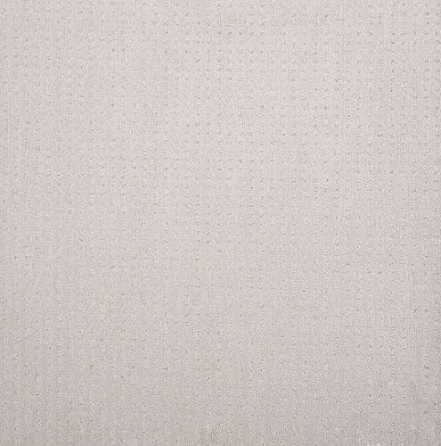Light gray textured solid carpet