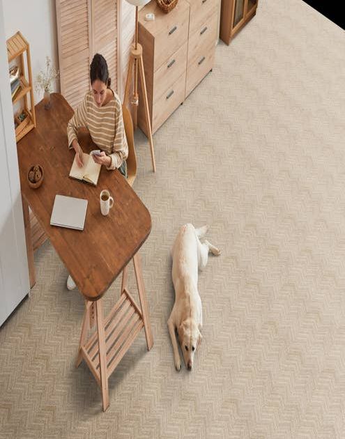 Dog laying on tan geometric carpet while woman writes in notebook on modern wooden desk