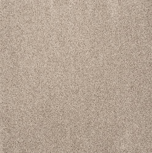 Beige solid textured plush carpet