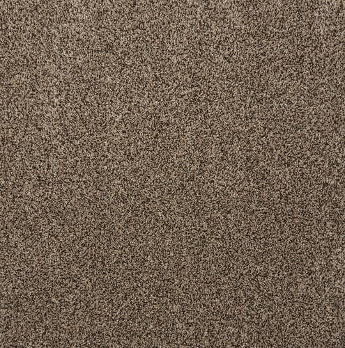 Brown solid textured plush carpet