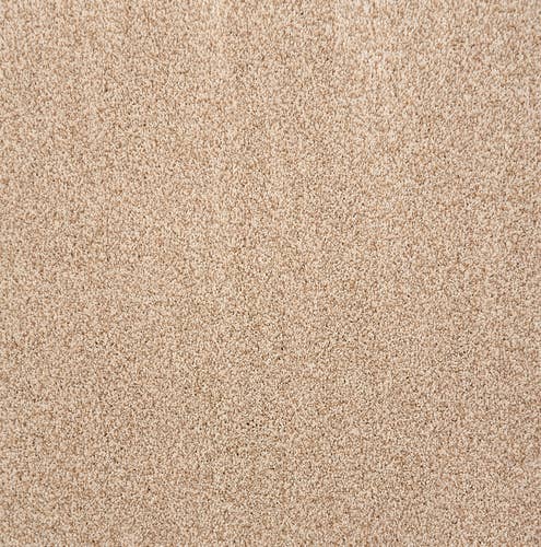Beige solid textured plush carpet