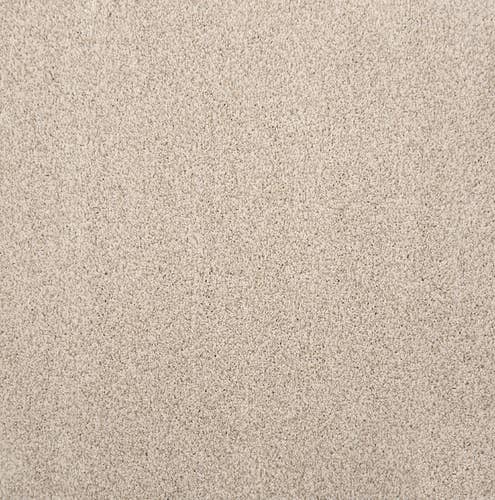 Cream solid textured plush carpet