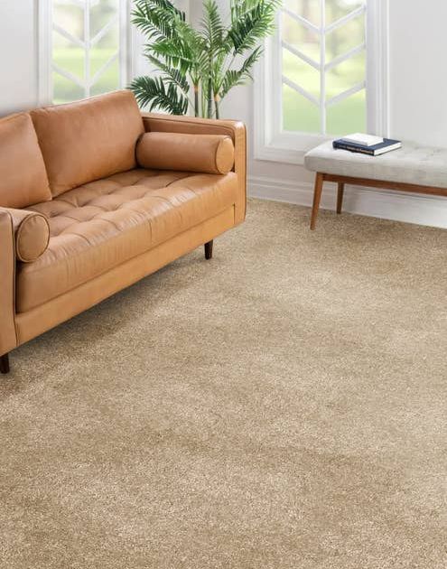 Modern tan leather sofa, white bench, and houseplant in room with a big window and a beige plush carpet