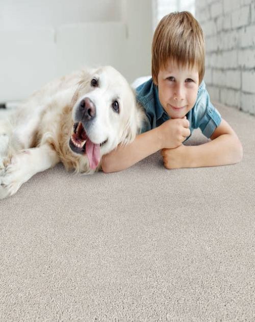 Young boy and dog lay side-by-side on solid gray plush carpet