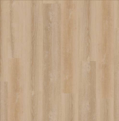 Golden State of Mind Champagne sample, with wide planks and subtle knots for a clean, airy look