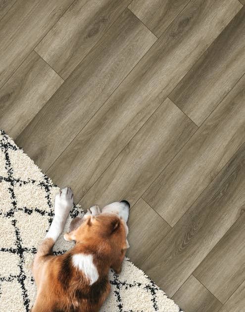 Dog lays on patterned area rug on top of variated tonal brown plank floor, with subtle wire brushed texture
