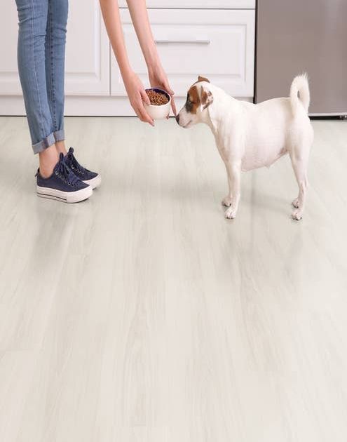 Woman offers food bowl to small dog in kitchen with white cabinets and a white woodgrain laminate floor