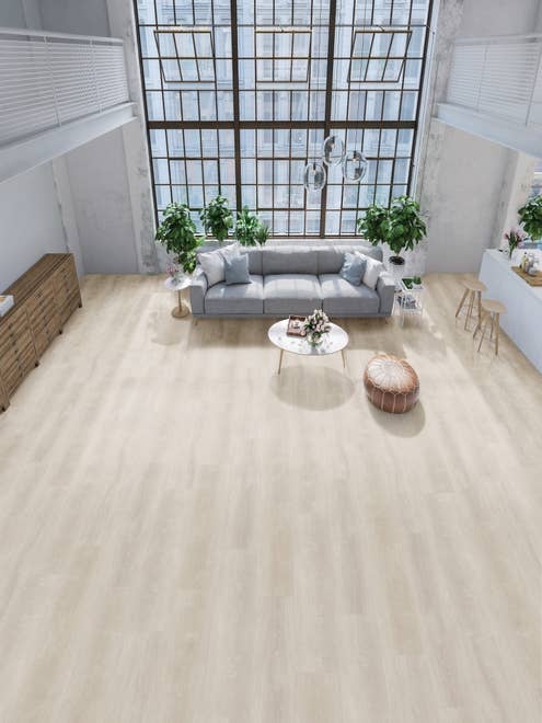 Open concept studio apartment with windows spanning entire wall behind modern gray sofa, coffee table, and houseplants, with view of kitchen island and upstairs hallway