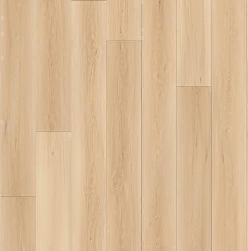 Webster Antique Linen luxury vinyl plank sample, featuring beige tonal variation and subtle woodgrain and knots for a balanced look