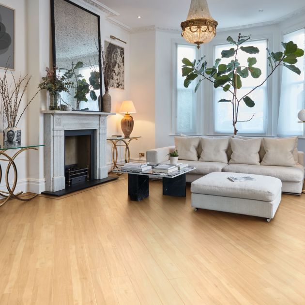 Living space with antique chandelier, off-white walls, pale golden woodgrain floor, white sofa, large houseplant, and fireplace topped with mirror