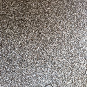 Lakepoint 908 carpet sample showing neutral multicolored brown and cream tones