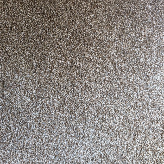 Lakepoint 908 carpet sample showing neutral multicolored brown and cream tones