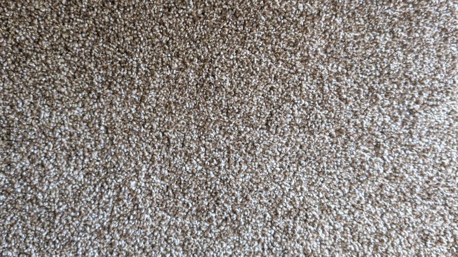 Lakepoint 908 carpet sample showing neutral multicolored brown and cream tones