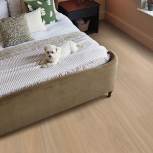 Clean, cozy bedroom with white dog laying atop comforter in room with pale taupe woodgrain flooring