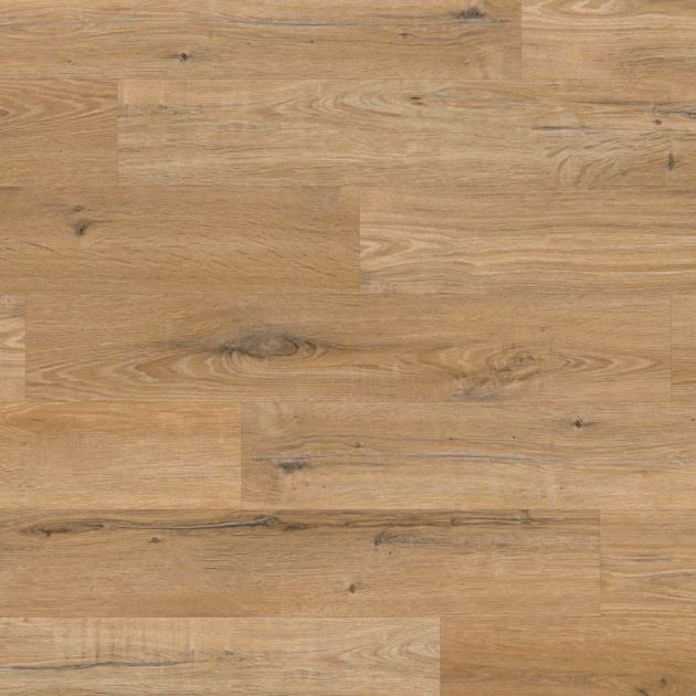 Sample of Natural Character Oak gluedown LVP showing golden brown tones, knots, and rustic charm