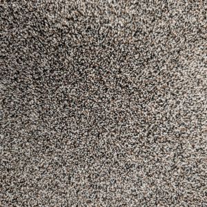 Ritzy Royale II Ebony Walnut carpet sample showing plush texture and brown, gray, and white multicolor look