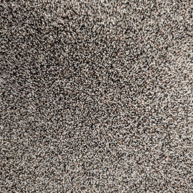 Ritzy Royale II Ebony Walnut carpet sample showing plush texture and brown, gray, and white multicolor look