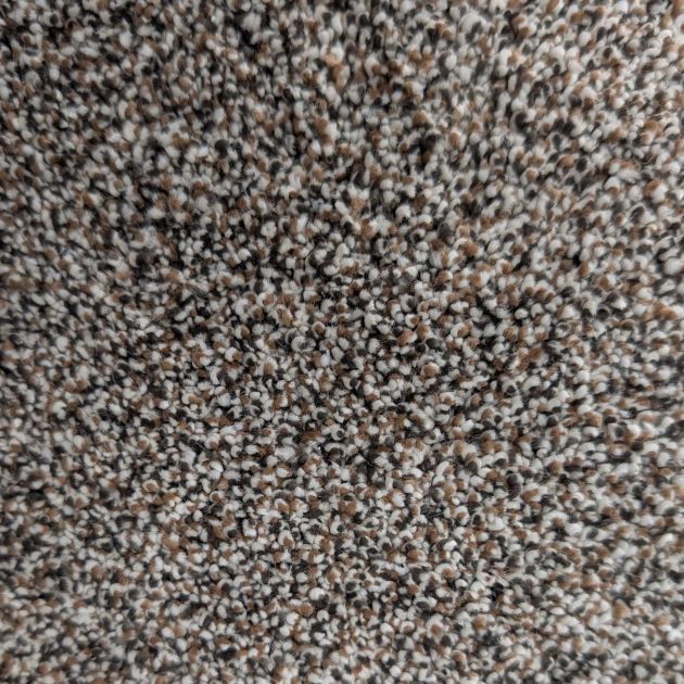Ritzy Royale II Ebony Walnut carpet sample showing brown, gray, and white multicolor plush texture