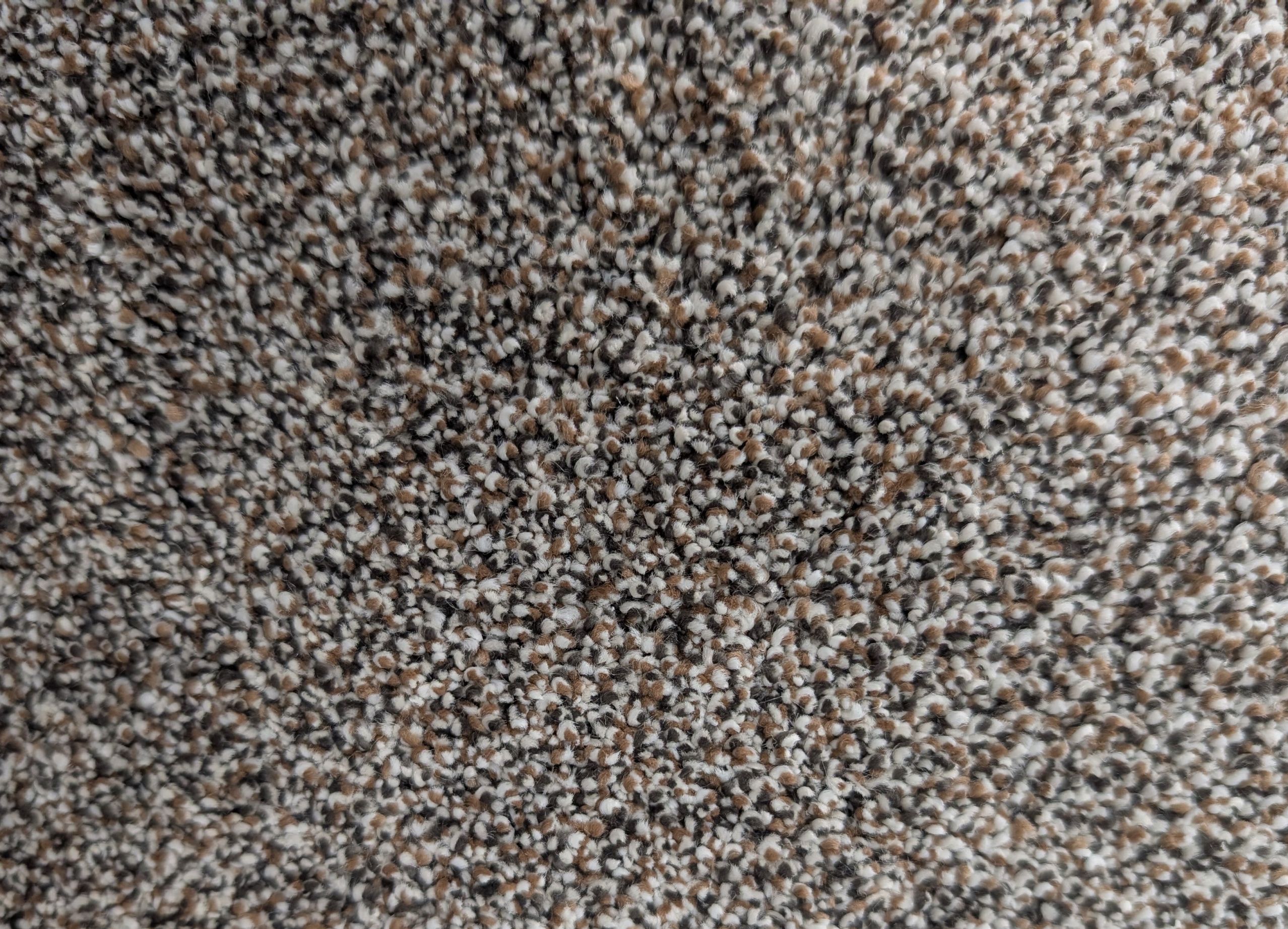 Ritzy Royale II Ebony Walnut carpet sample showing brown, gray, and white multicolor plush texture