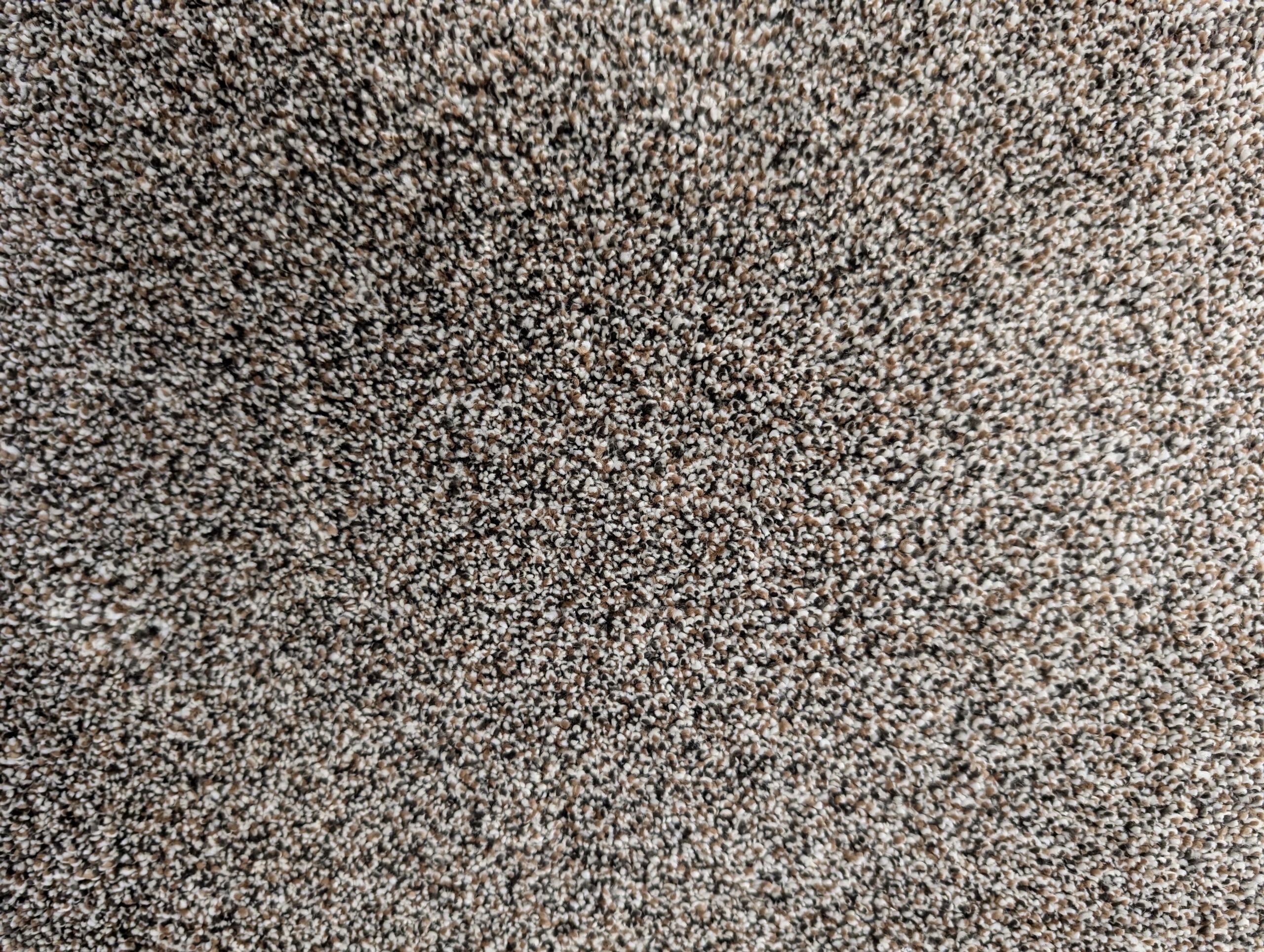 Ritzy Royale II Ebony Walnut carpet sample showing plush texture and brown, gray, and white multicolor look