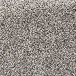 Sample of Win-Win Essential showing multicolor gray, beige, and cream plush carpet