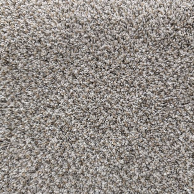 Sample of Win-Win Essential showing multicolor gray, beige, and cream plush carpet